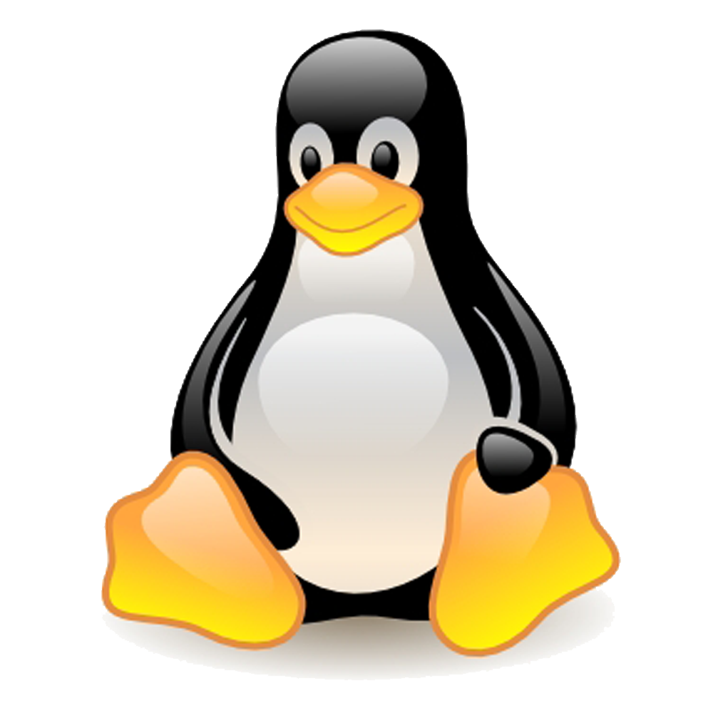 Retour Linux Technologie Et Libert Culture Num rique Pour Une 