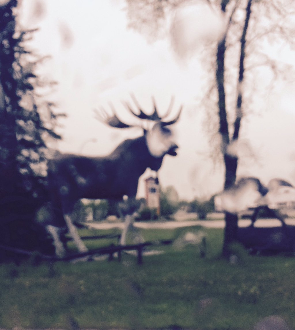 Cjiz8N6UoAA13i4.jpg:large