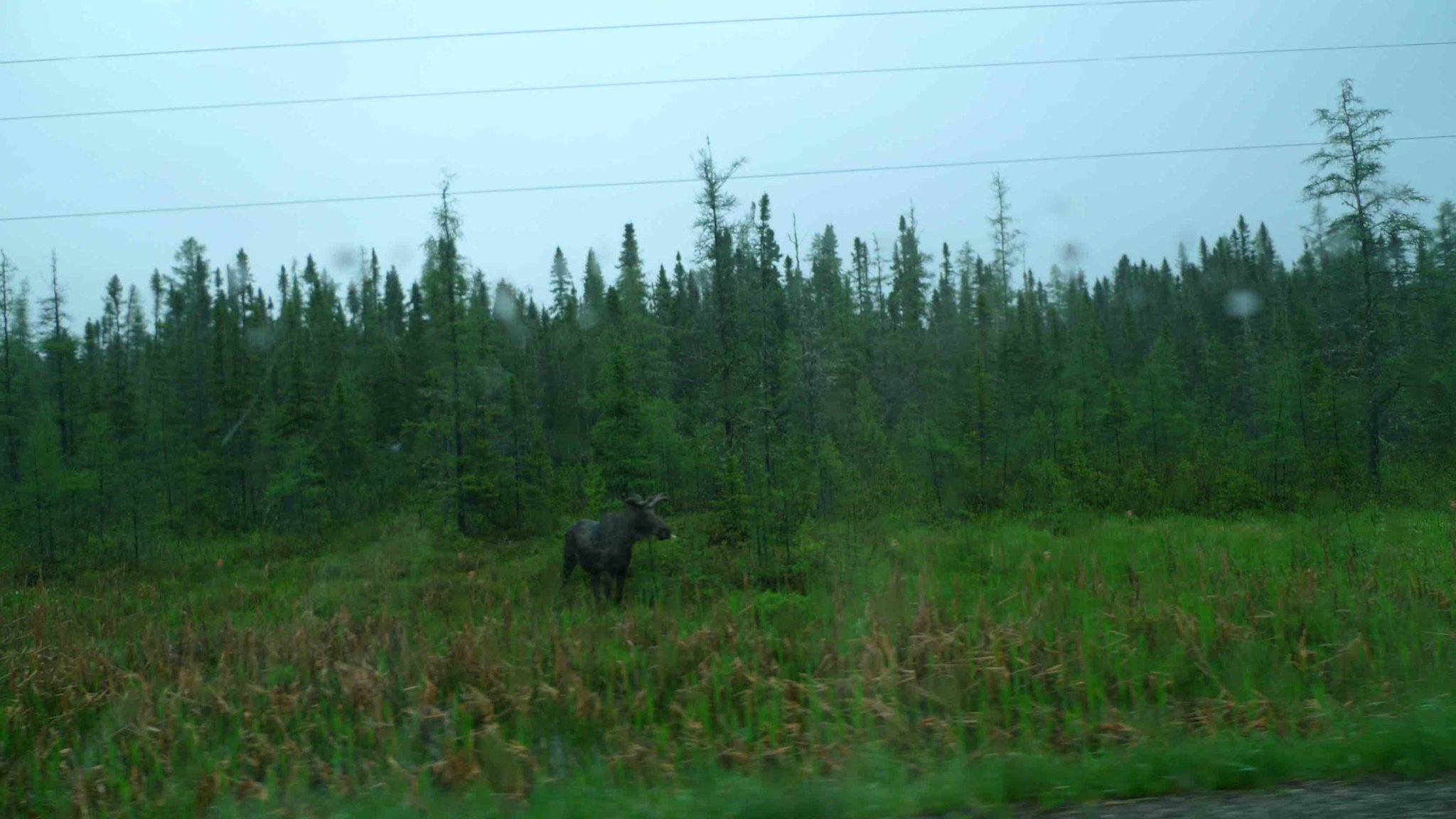 CkMTSnHVEAA_hl8.jpg:largeori